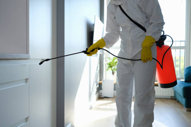 Best Home Mold Removal  in Richfield Springs, NY