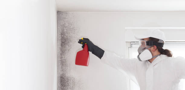 Best Office Mold Removal Services  in Richfield Springs, NY